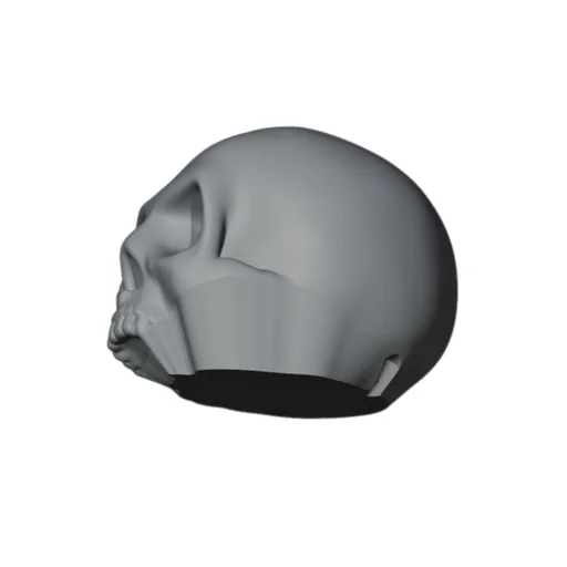 Bulbasaur - Skeleton - Skull Bulbasaur Skull Alone preview