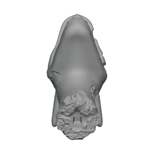 Zombie Charizard Head Fdm preview