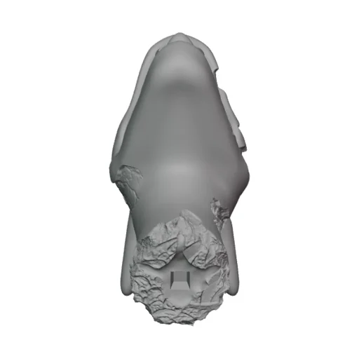 Zombie Charizard Head preview
